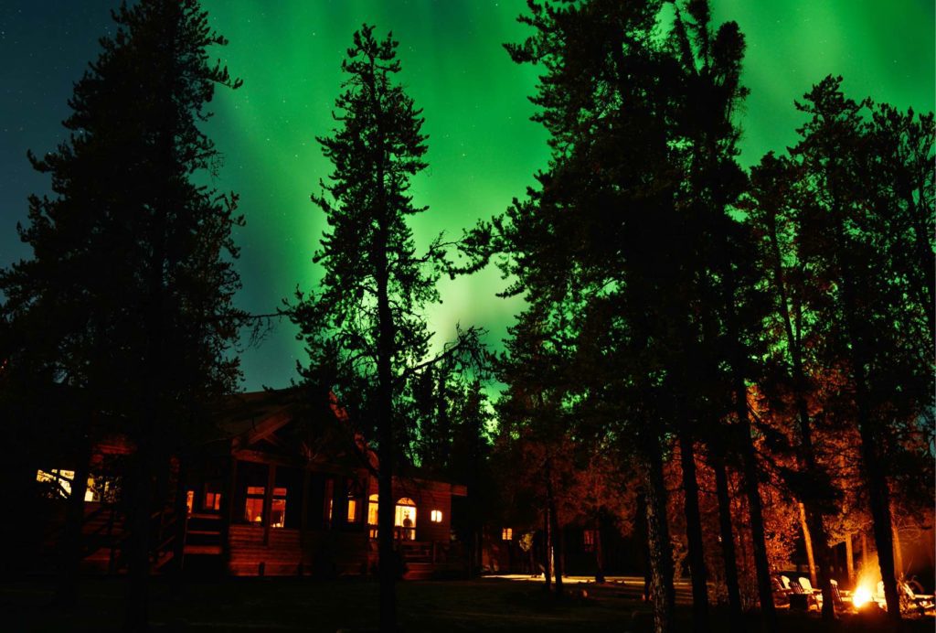 dark night with green sky from the northern lights with tall trees and a cabin
