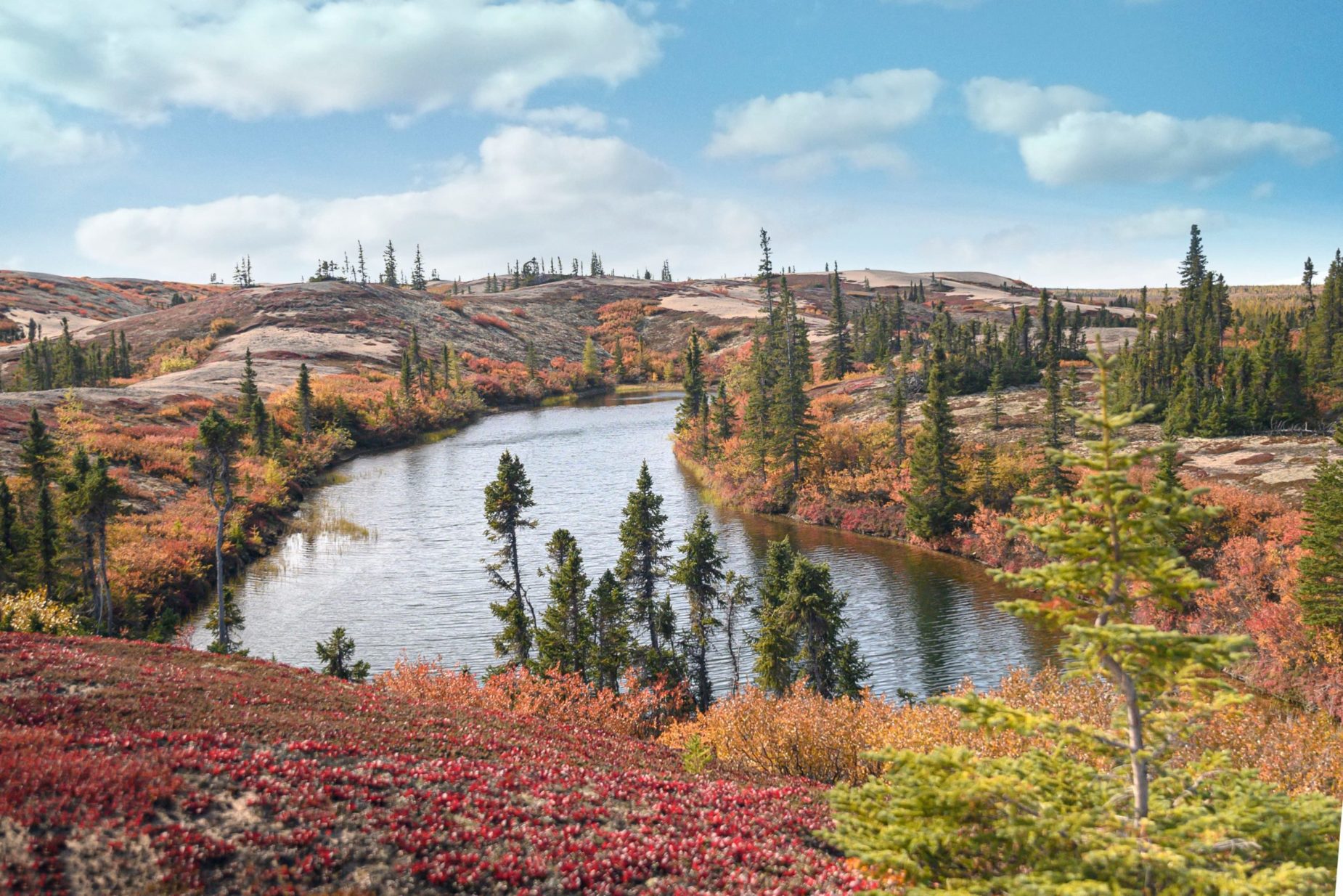 Photograph of landscape image with a small pond, blue skies, and fall colors