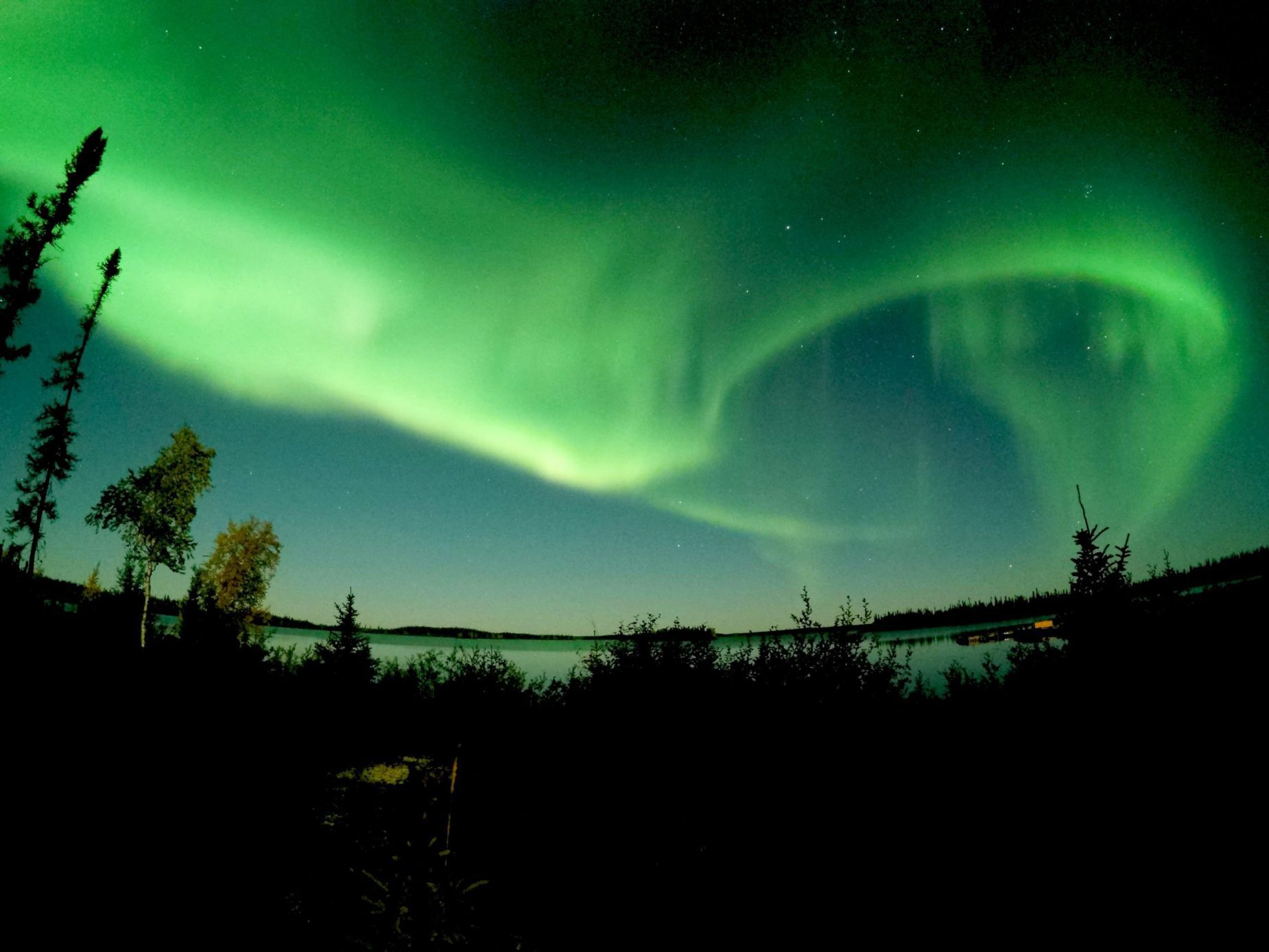 Dark time lapse photograph with the Northern Lights swirling above trees