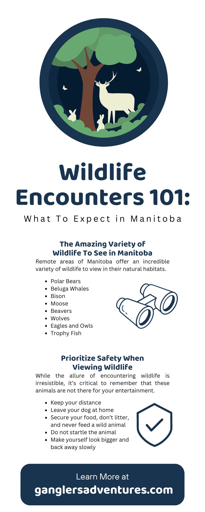 Wildlife Encounters 101: What To Expect in Manitoba